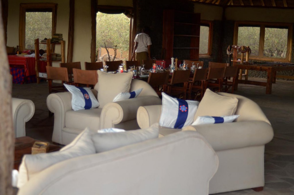 Wildlife in the Maasai Mara plains